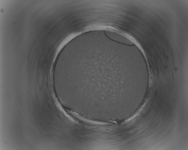 X0000066931053200603311347