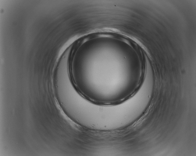 X0000066931054200603311347