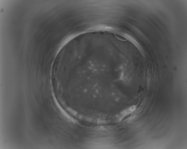 X0000066931055200603311347