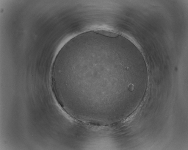 X0000066931056200603311347