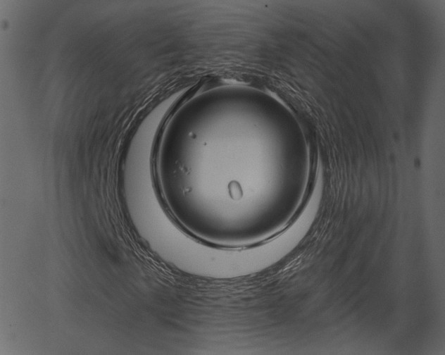 X0000066931057200603311346