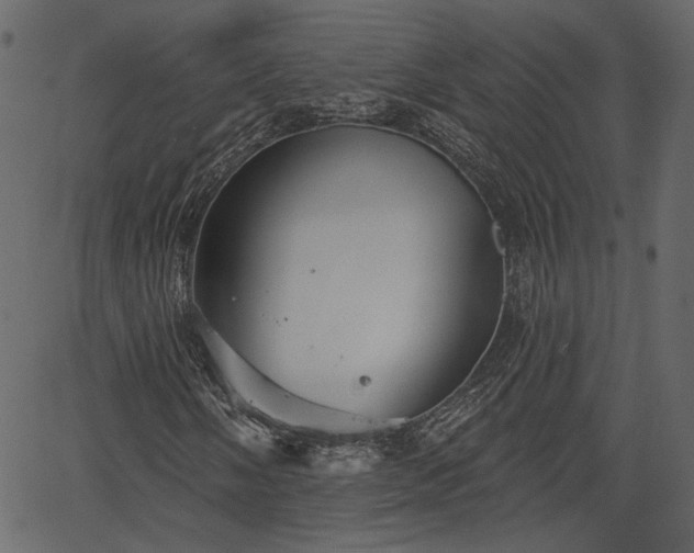 X0000066931058200603311346