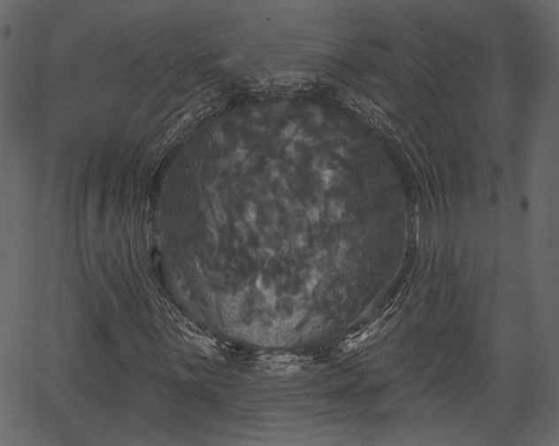 X0000066931059200603311346