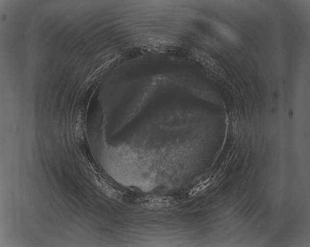 X0000066931060200603311346