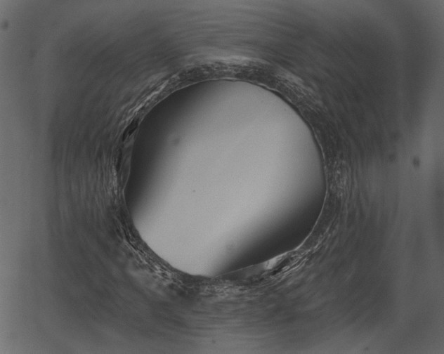 X0000066931061200603311346