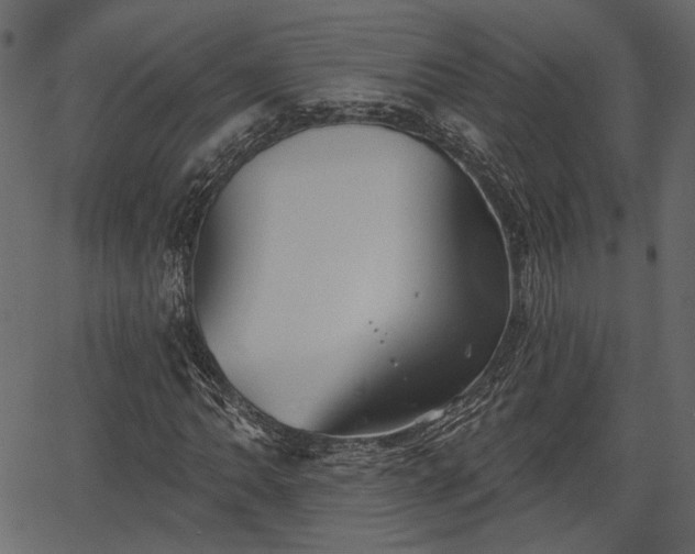 X0000066931062200603311346