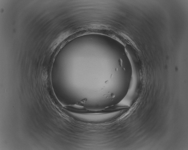 X0000066931065200603311346