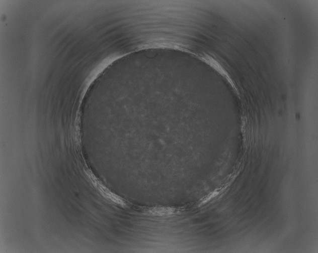 X0000066931068200603311346