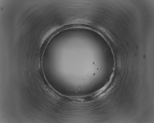 X0000066931069200603311346