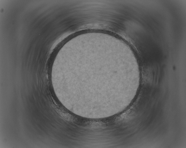 X0000066931070200603311346