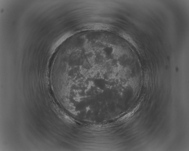 X0000066931071200603311346