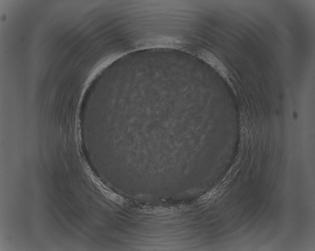 X0000066931072200603311346