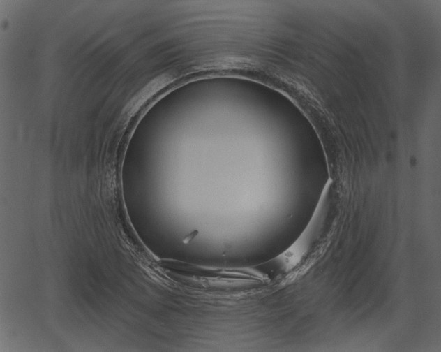 X0000066931073200603311346