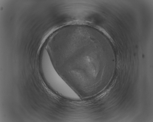 X0000066931075200603311346