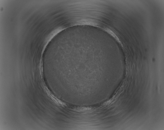 X0000066931076200603311346