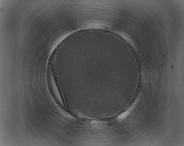 X0000066931077200603311346