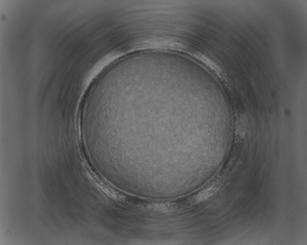 X0000066931078200603311346