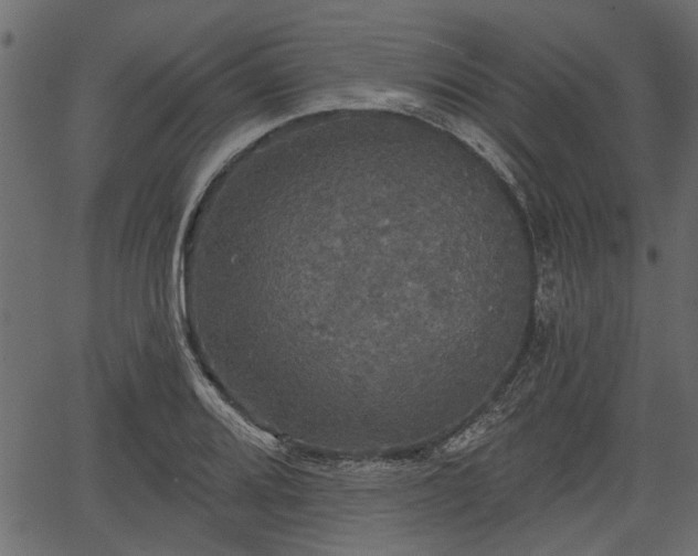 X0000066931080200603311346