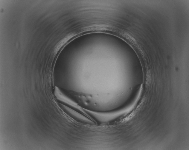 X0000066931081200603311346