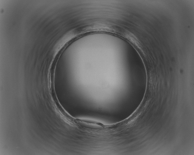 X0000066931082200603311346