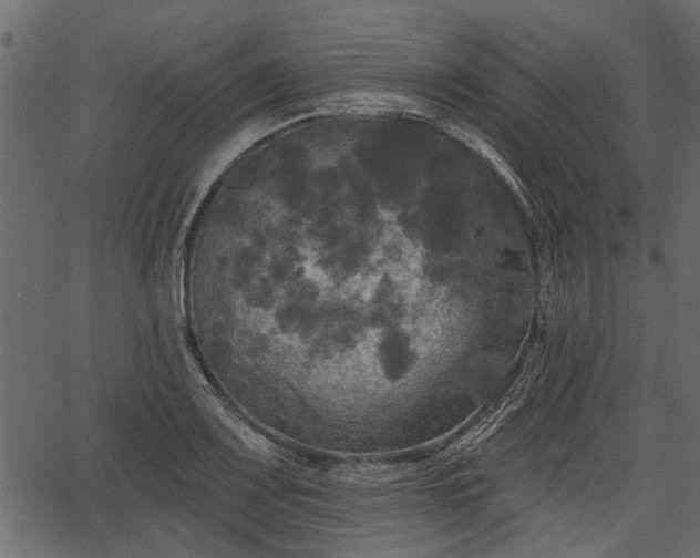 X0000066931083200603311346