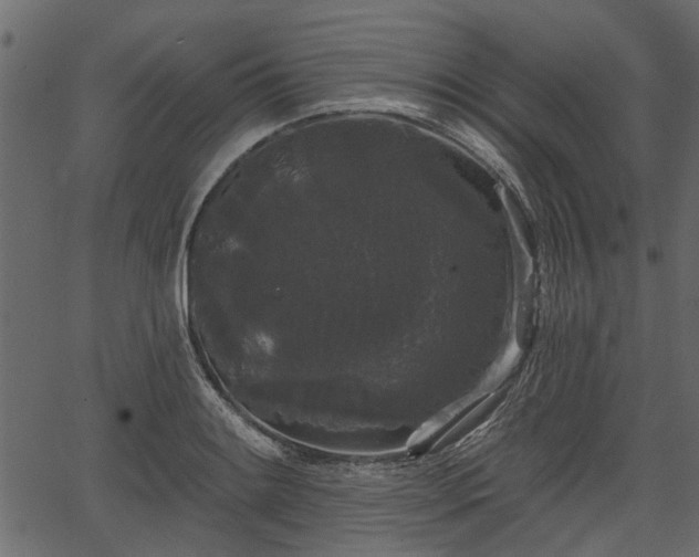 X0000066931084200603311346