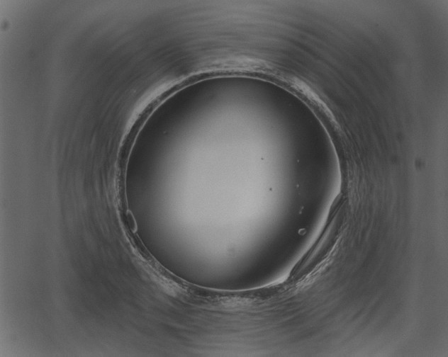 X0000066931085200603311346