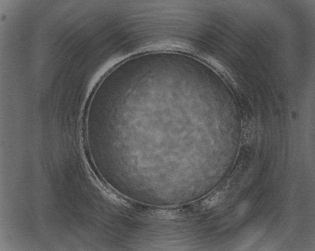 X0000066931086200603311346