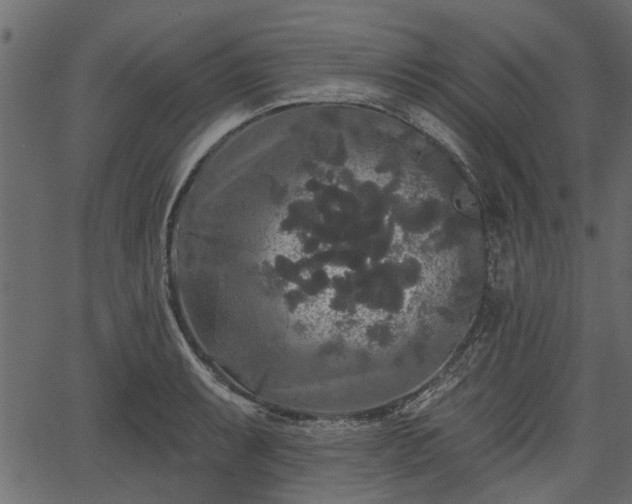 X0000066931087200603311346