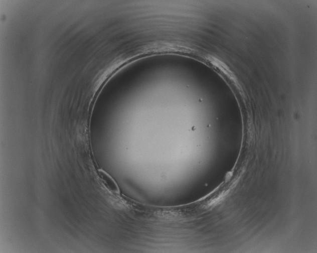 X0000066931089200603311346