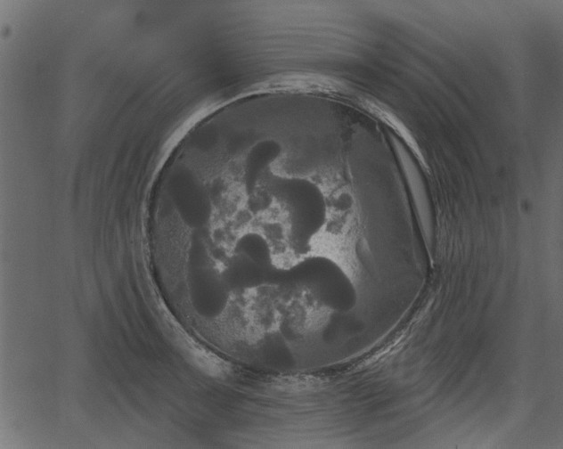 X0000066931091200603311346