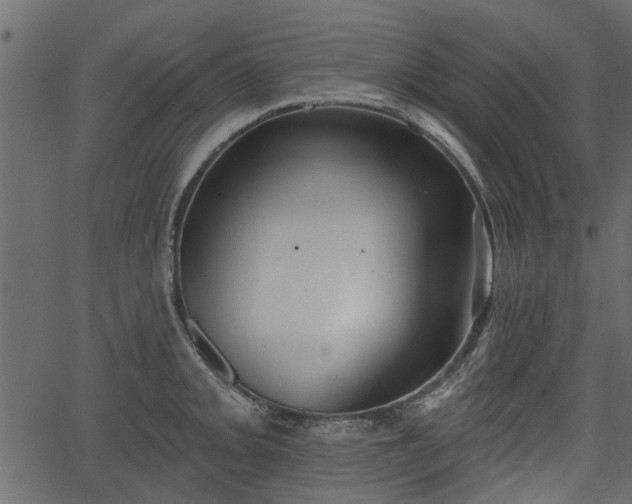 X0000066931093200603311346