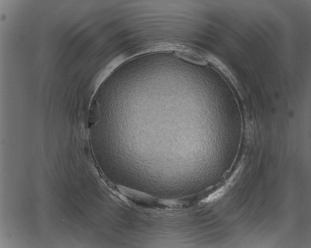 X0000066931097200603311346