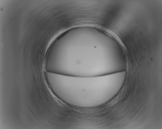 X0000066931101200603311345