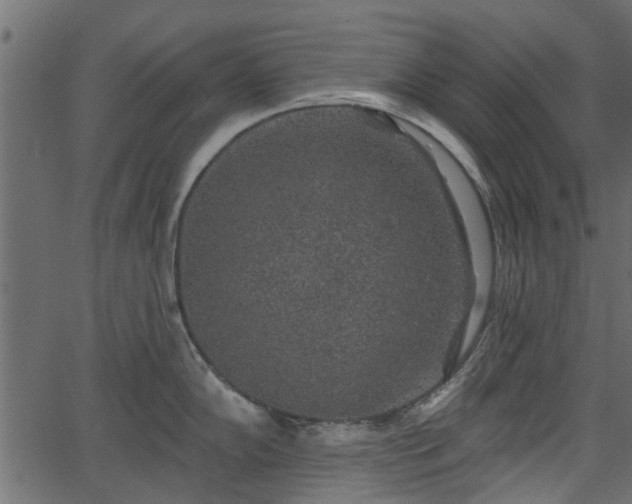 X0000066931102200603311345