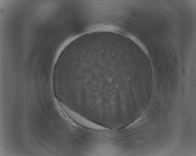 X0000066931104200603311345