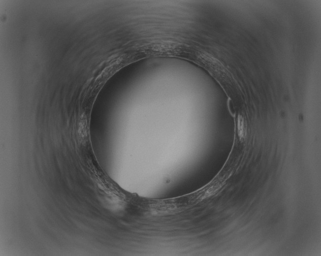 X0000066931107200603311345