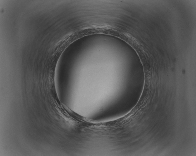 X0000066931110200603311345