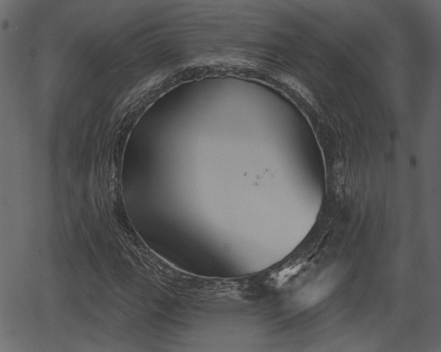 X0000066931111200603311345