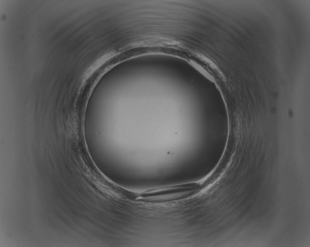 X0000066931114200603311345