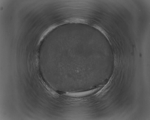 X0000066931115200603311345