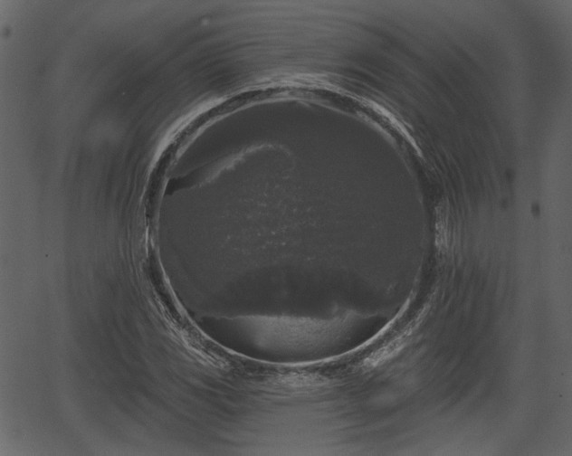 X0000066931117200603311345