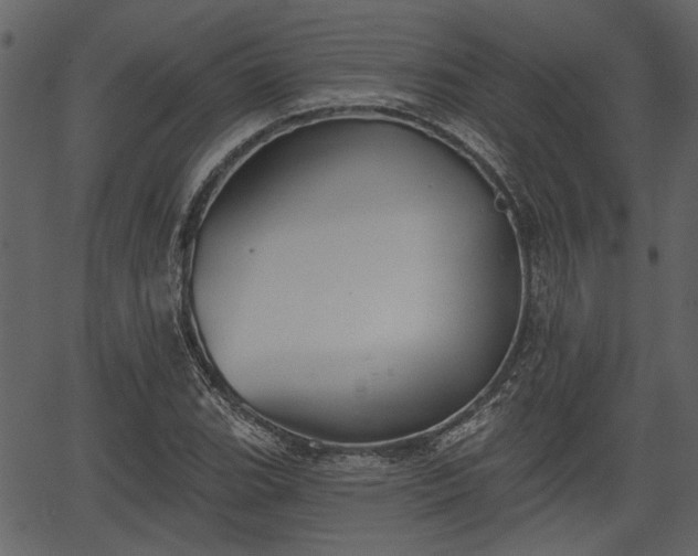 X0000066931119200603311345