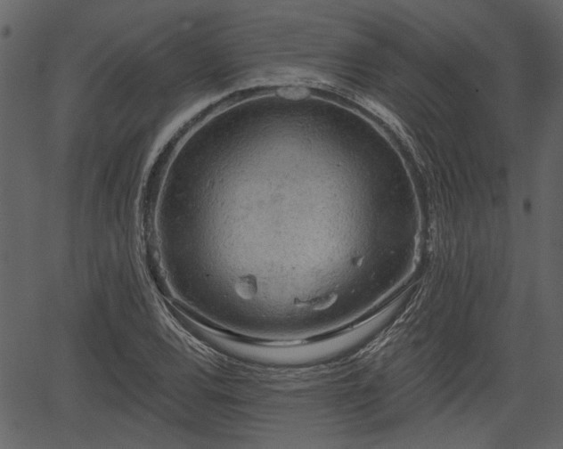 X0000066931120200603311345