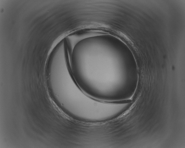 X0000066931122200603311345