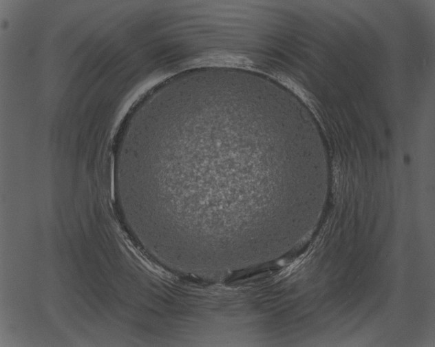 X0000066931123200603311345