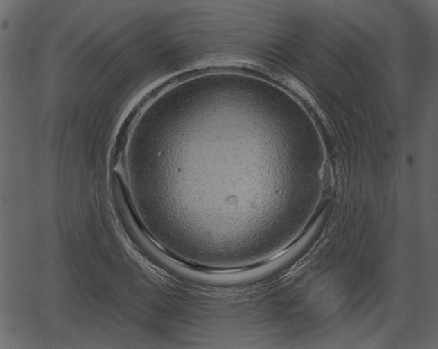 X0000066931124200603311345