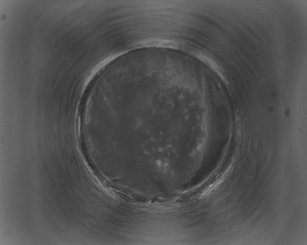 X0000066931125200603311345