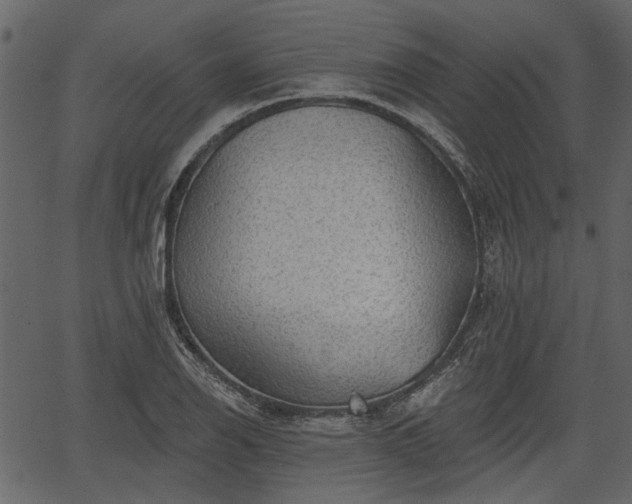 X0000066931126200603311345