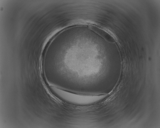 X0000066931128200603311345